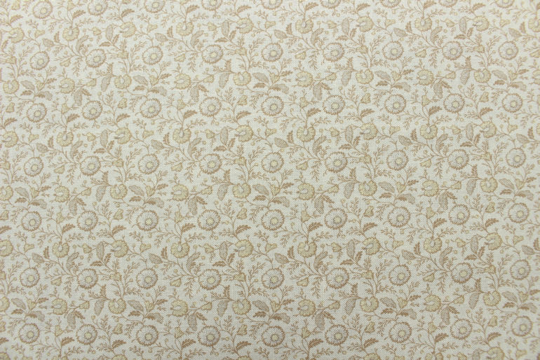 シェビソーン　丸い花<br>
ベージュ